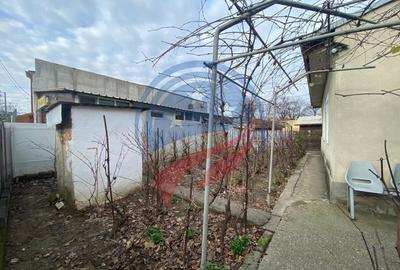 Spațiu comercial, de 400 mp, în Brazda lui Novac - 3
