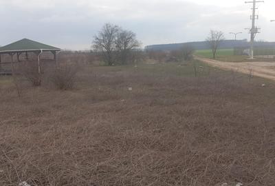 Teren Construcții intravilan de 17798 mp, în Dragomirești-Deal - 1