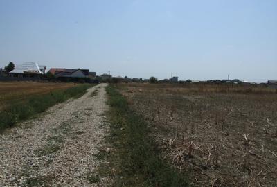 Teren Construcții intravilan de 580 mp, în Domnești - 8