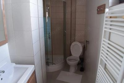 Garsonieră decomandată în Dămăroaia - 4