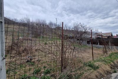 Teren agricol intravilan de 584 mp, în Dezmir - 8