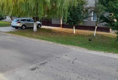 Casă cu 3 camere în Șimand