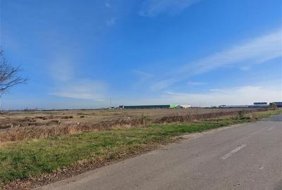 Teren Construcții intravilan de 170000 mp, în Nord - 2