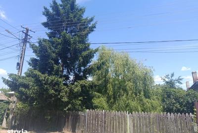 Casă cu 2 camere cu Teren 2000 Mp în Potlogi - 7