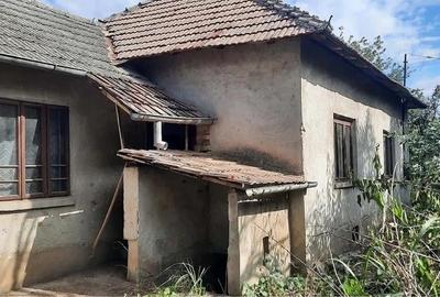 Casă individuală cu 3 camere cu Teren 2500 Mp în Moțăței