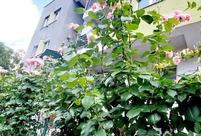 Apartament cu 3 camere decomandat în George Enescu - 3