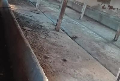Spațiu comercial, de 2,550 mp, în Siliștea - 8