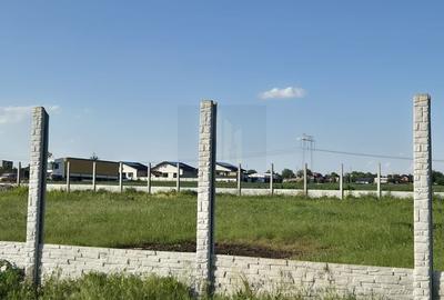 Teren de 497 mp, în Frumușani - 4