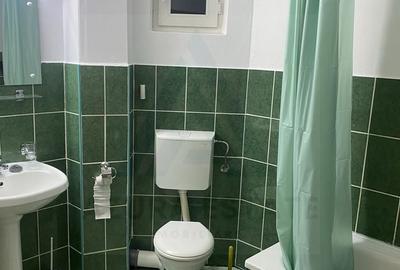 Apartament cu 2 camere în Tilișca - 3
