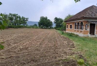 Casă în Jupânești - 1