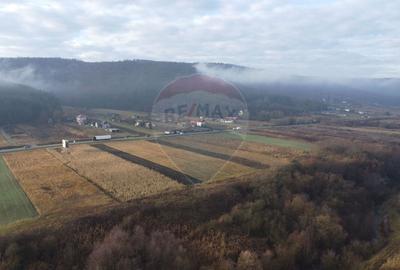 Teren Construcții intravilan de 9000 mp, în Gilău - 16