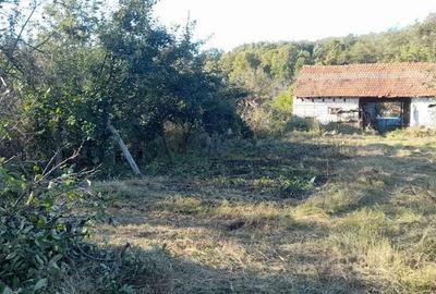 Casă cu 4 camere cu Teren 3800 Mp în Central - 7
