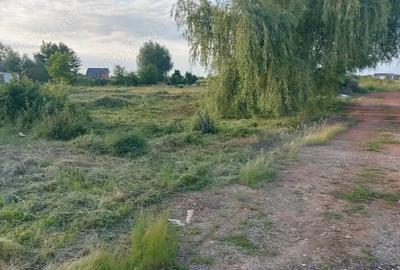 Teren de 1100 mp, în Moșnița Nouă - 2