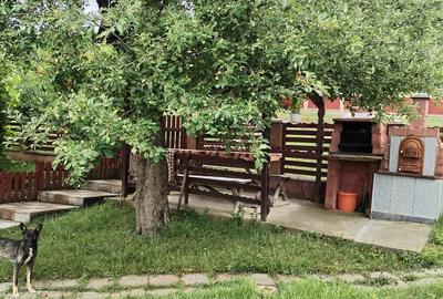 Casă cu 2 camere cu Teren 6000 Mp în Lechincioara - 4