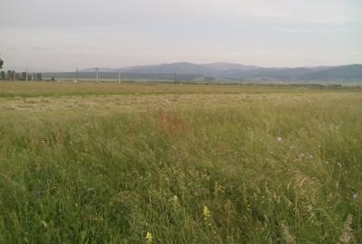 Teren agricol extravilan de 2600 mp, în Cristian - 4