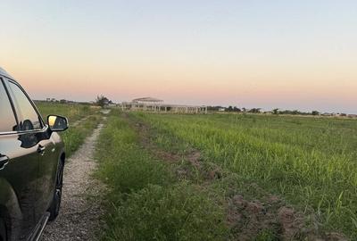 Teren de 1000 mp, în Odăi