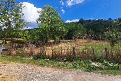 Teren de 3500 mp, în Viforâta - 1