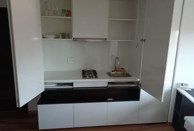 Apartament cu 2 camere nedecomandat, mobilat în Șagului - 13