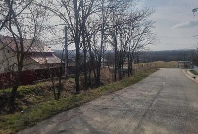 Teren de 1280 mp, în Central - 5