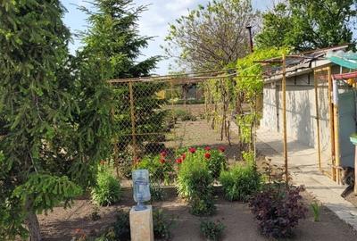 Casă cu 4 camere în Comana - 6