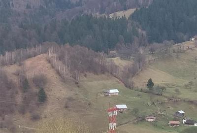 Teren Construcții intravilan de 8800 mp, în Cheia - 1