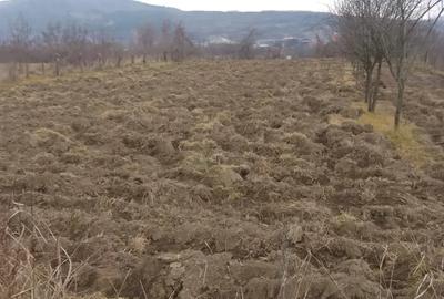 Teren de 1610 mp, în Vulcana-Pandele