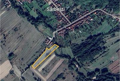 Teren de 9000 mp, în Sârbești - 2