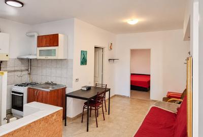 Apartament cu 2 camere semidecomandat, mobilat în Gruia - 4
