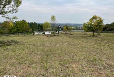 Teren de 11600 mp, în Viile Satu Mare - 7