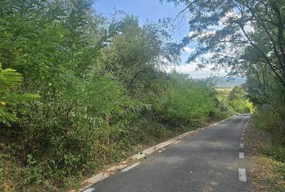 Teren de 2063 mp, în Gurasada