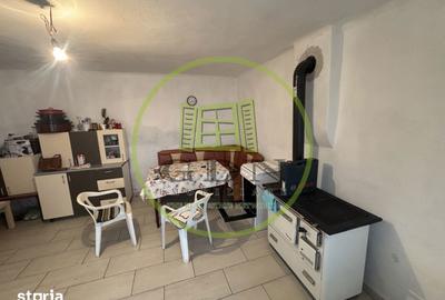 Casă cu 3 camere cu Teren 2500 Mp în Cetatea de Baltă - 13
