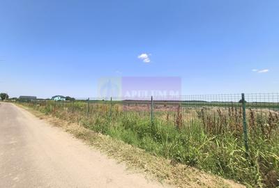 Teren Construcții intravilan de 582 mp, în Copăceni - 5
