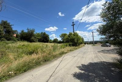 Teren Construcții intravilan de 1000 mp, în Cisnădioara - 4