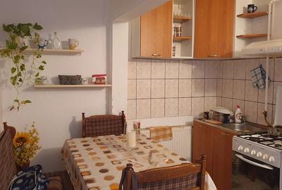 Apartament cu 2 camere semidecomandat în Iosefin