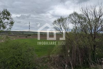 Teren Construcții intravilan de 1738 mp, în Jucu de Sus - 4