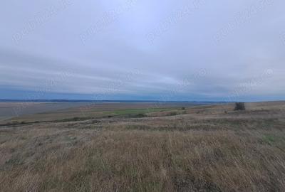 Teren în Ograda - 1