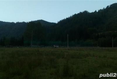 Teren de 2000 mp, în Rucăr - 3