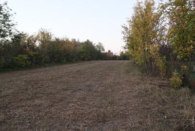 Teren Construcții intravilan de 3243 mp, în Rasa - 4