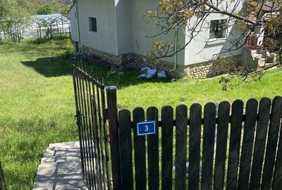 Casă cu 2 camere în Pietroșani - 8