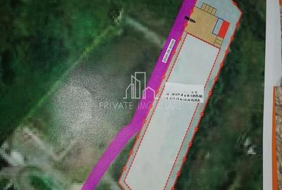 Teren Construcții intravilan de 5300 mp, în Corunca - 4