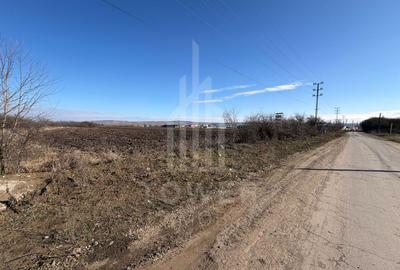 Teren Construcții intravilan de 3500 mp, în Exterior Sud - 14