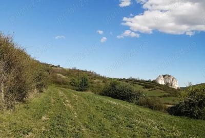 Teren de 4100 mp, în Ampoița - 2