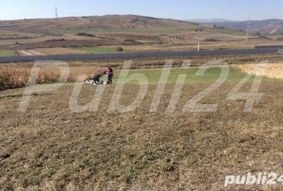 Teren de 5500 mp, în Stejeriș - 2