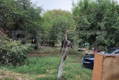 Spațiu comercial, în Viforâta - 8