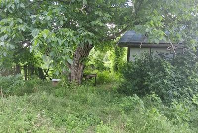 Teren de 5500 mp, în Vernești - 8