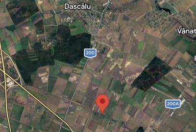 Spațiu comercial, în Afumați - 1