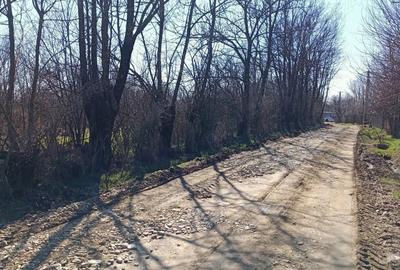 Teren de 1493 mp, în Șerbănești (Rociu) - 8