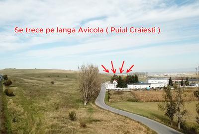 Teren agricol extravilan de 1100 mp, în Codlea - 2