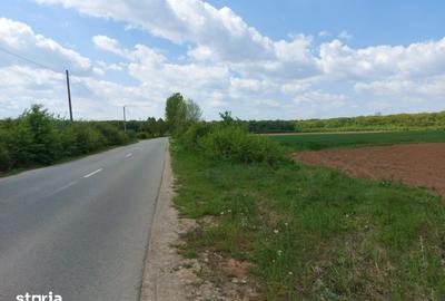 Teren de 35000 mp, în Periș - 2