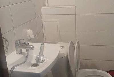 Apartament cu 2 camere semidecomandat în Pantelimon - 5